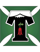 Deportes Temuco